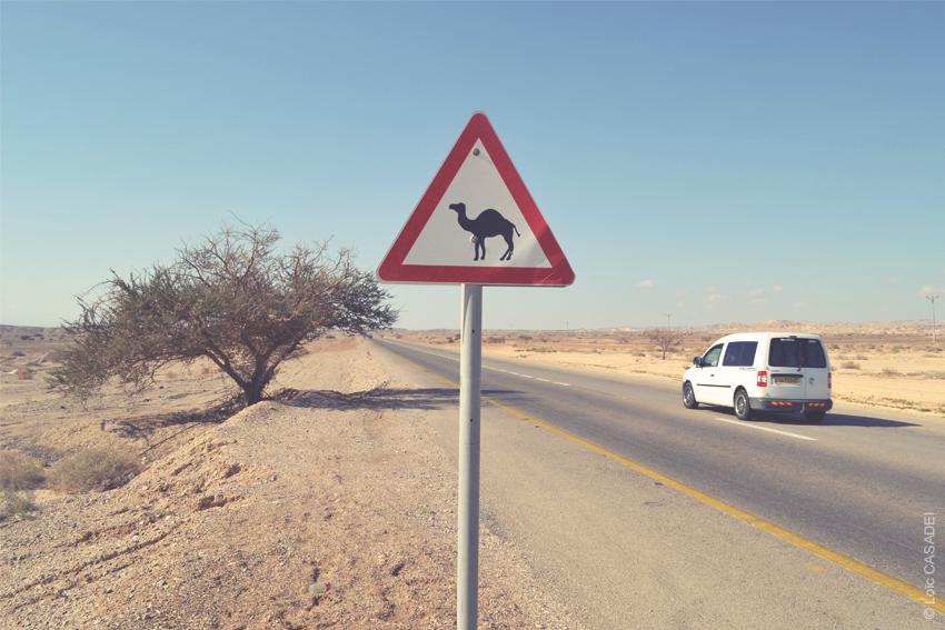 Israel_Desert