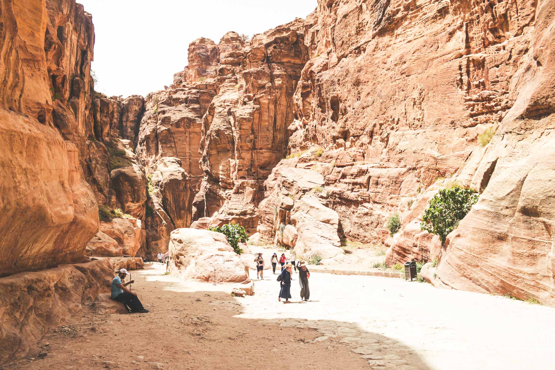 Siq-Jordanie-Petra