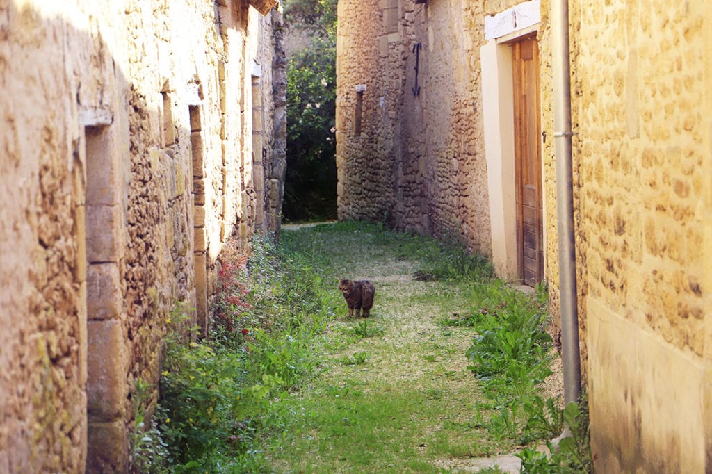 Ruelle-Etroite-Saint-Leon-sur-Vezere