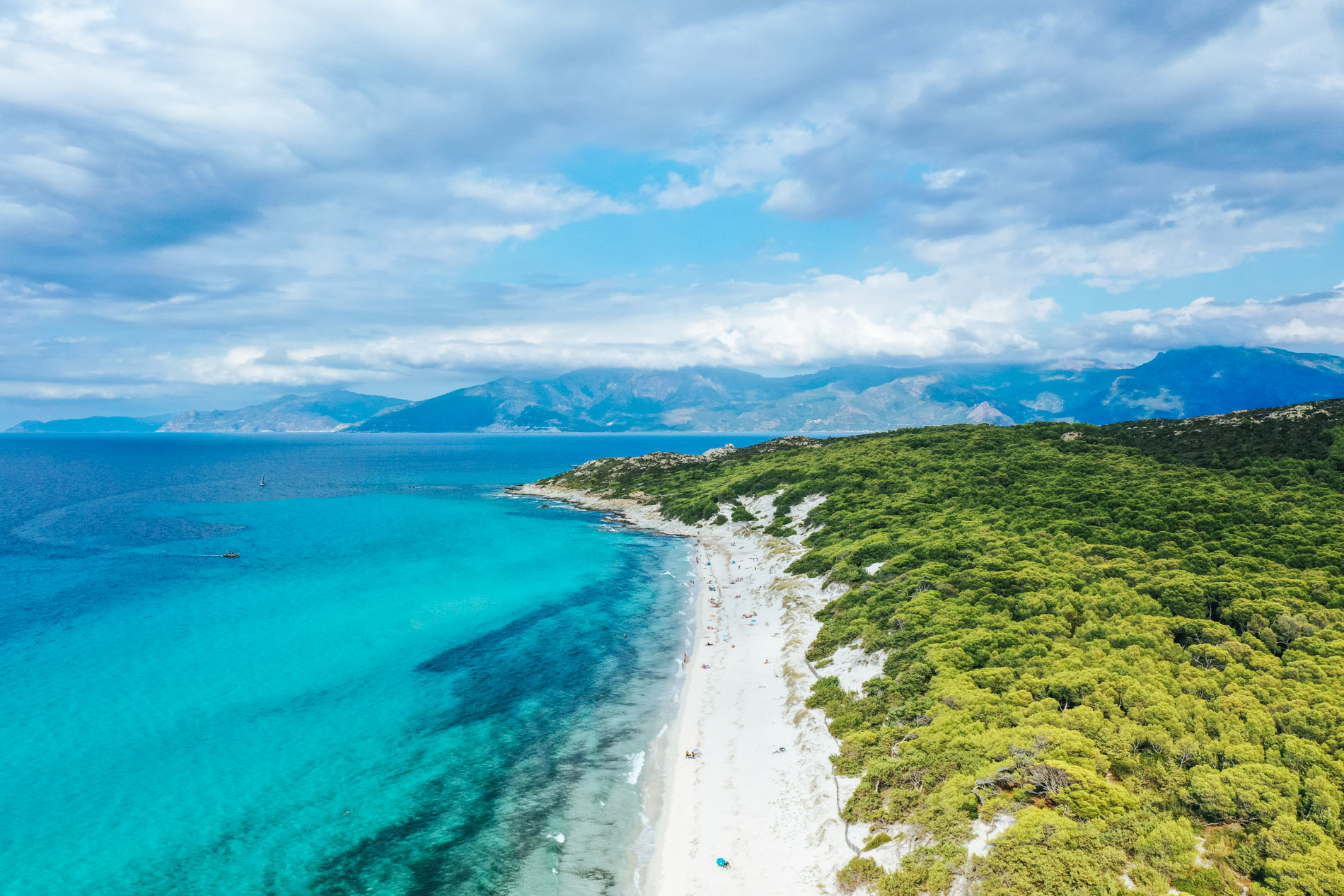 Plage de Saleccia en Corse