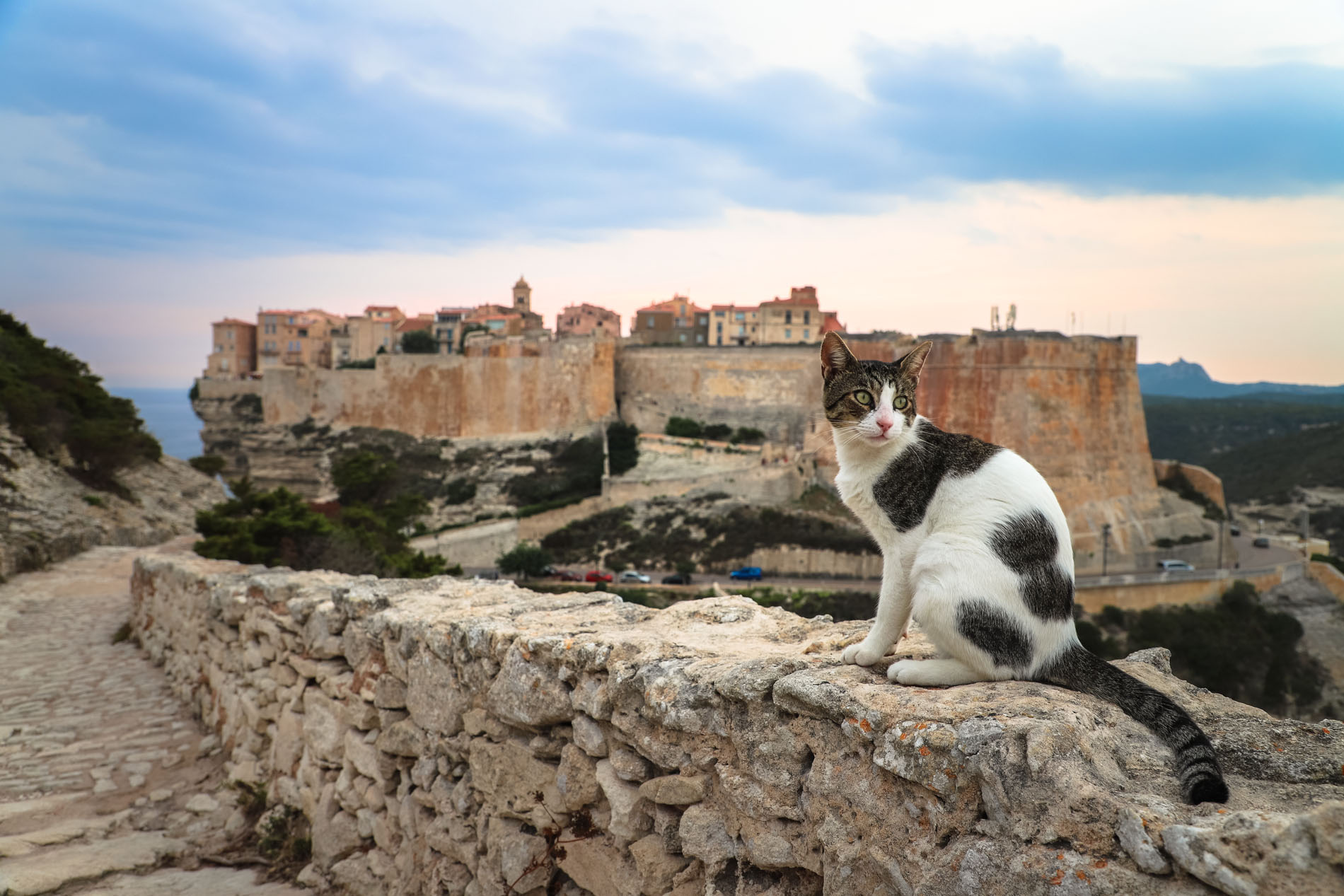 Bonifacio-Citadelle