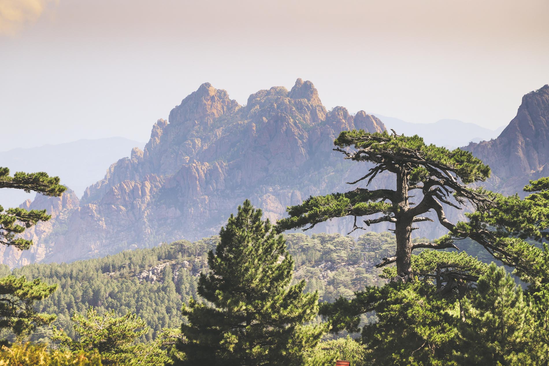 Les Aiguilles de Bavella Corse du Sud