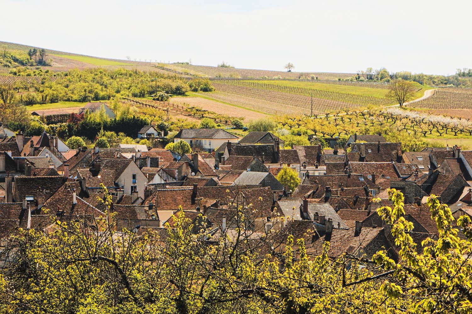 Bourgogne-vignobles