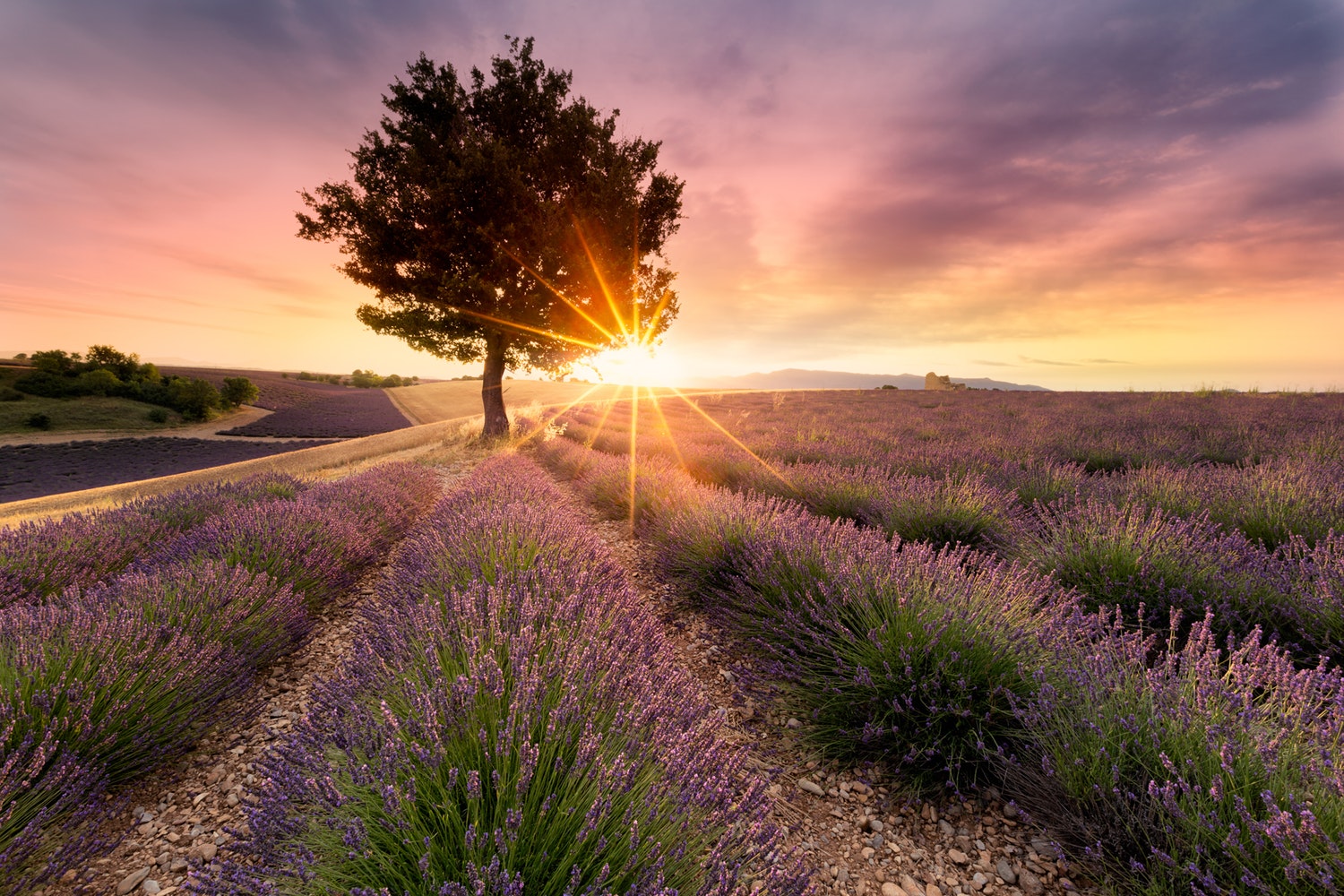 les-plus-beau-endroits-de-france-provence