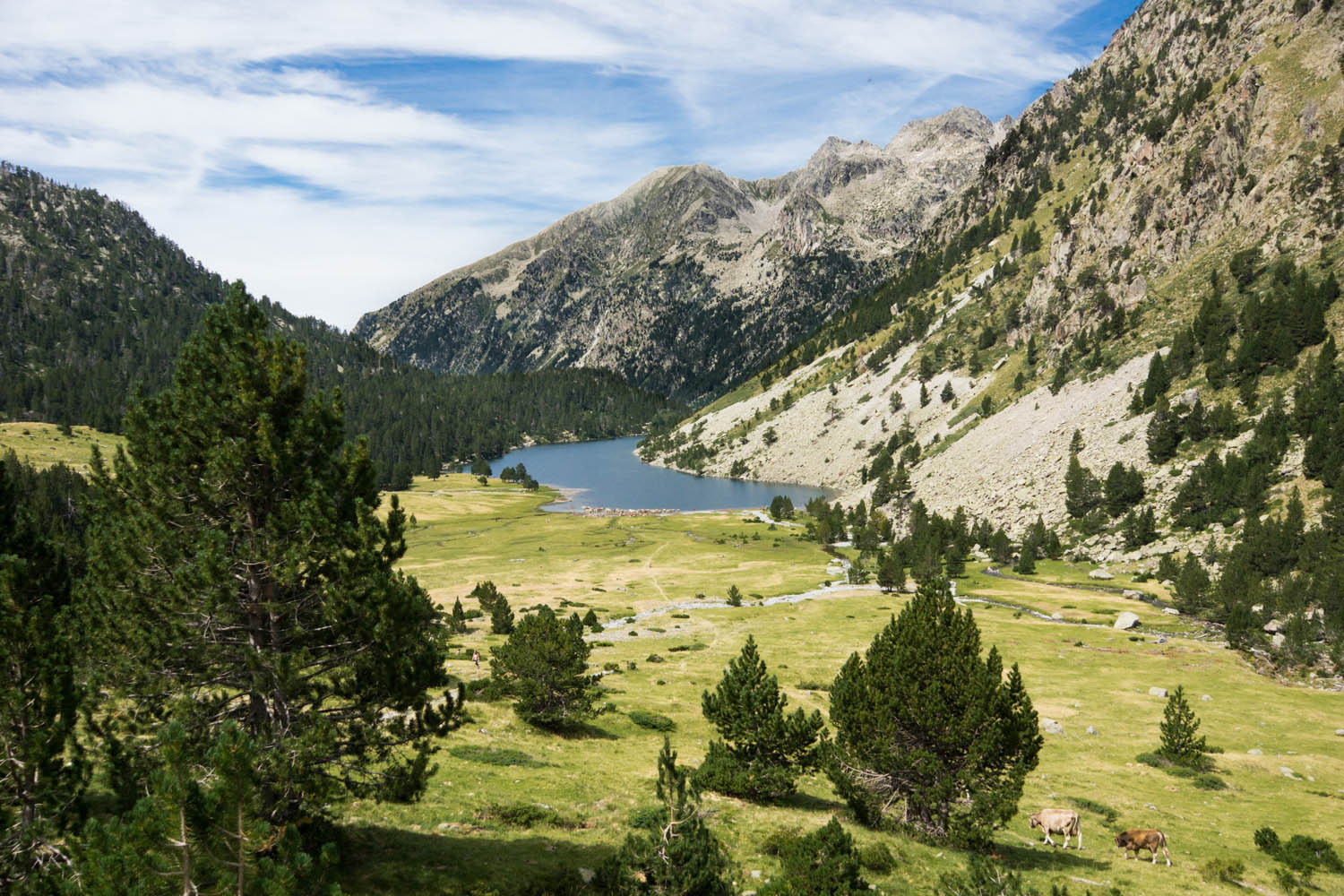 visiter-les-pyrenees