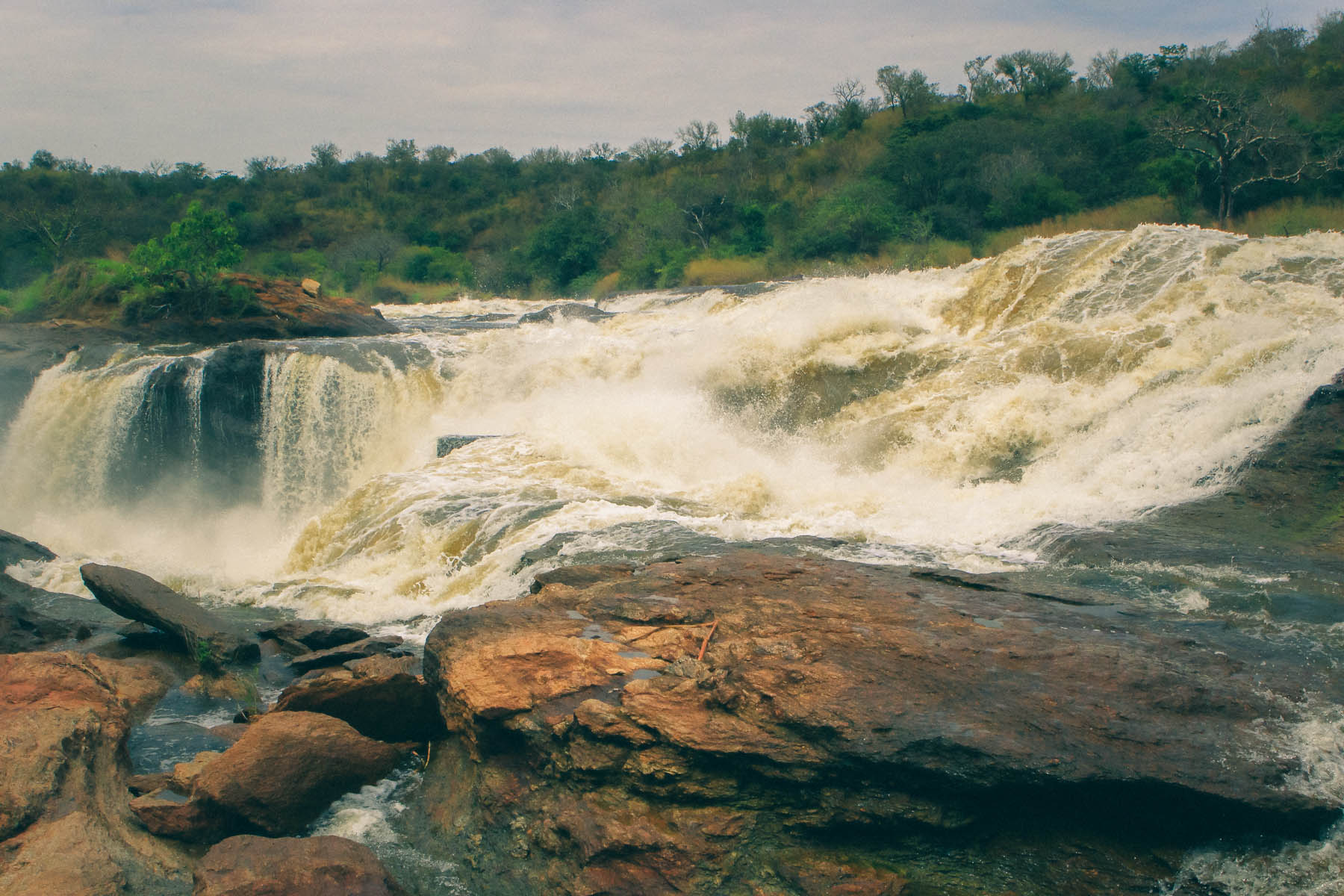 murchinston-falls-ouganda