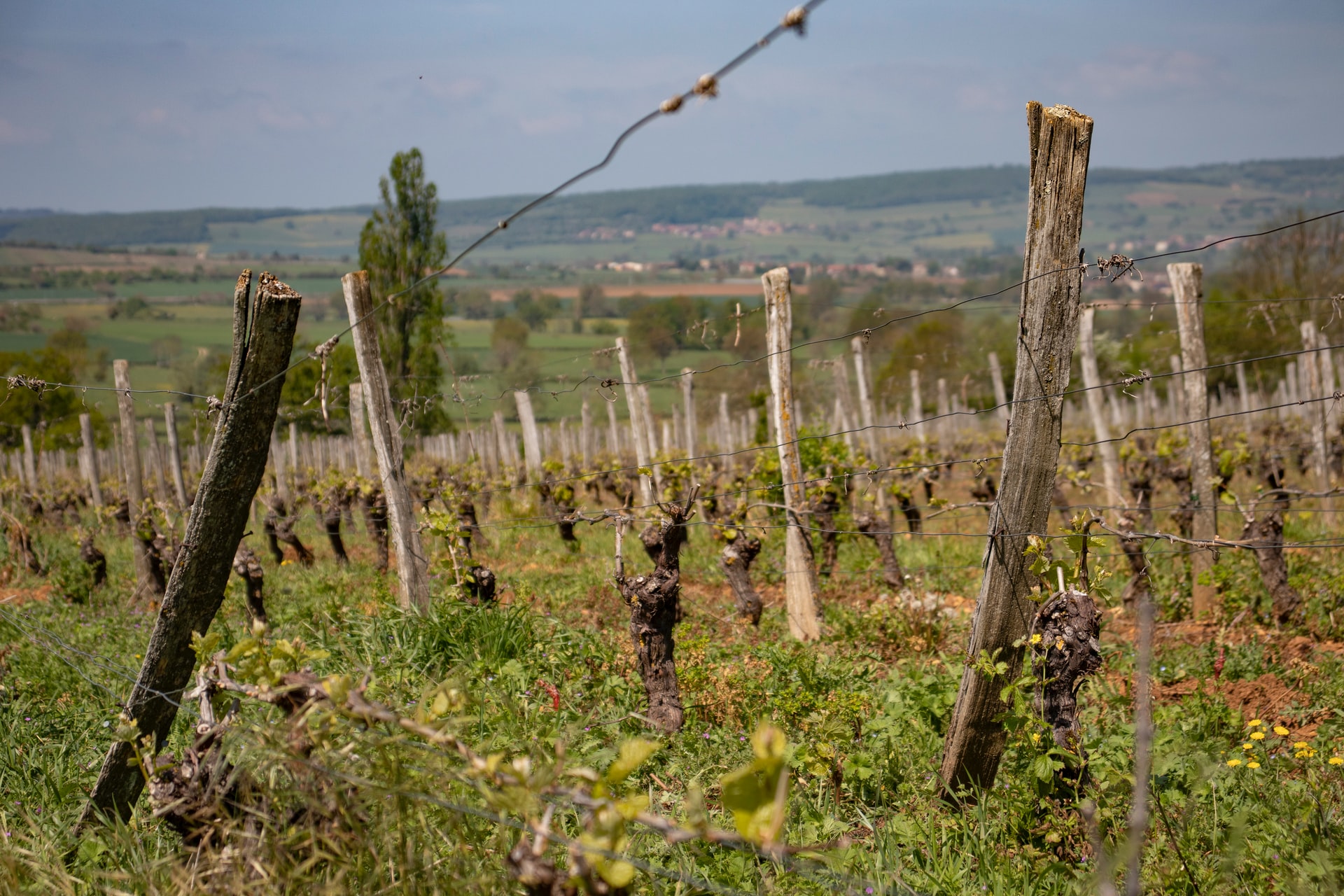 Bourgogne-franche-comte