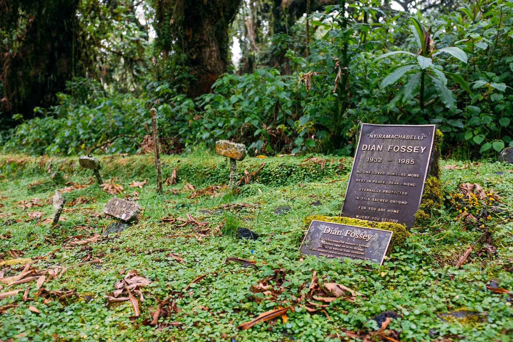 Dian-Fossey-Rwanda-Virunga-Mountains