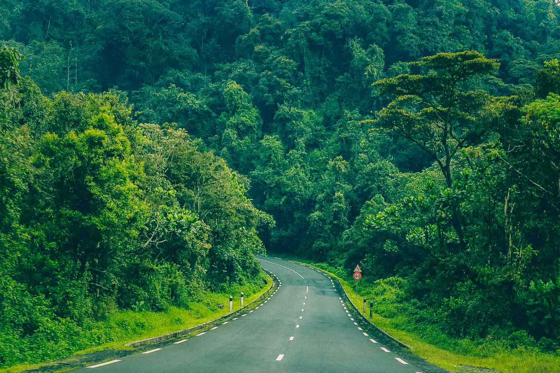 Rwanda Une destination vacances inoubliable ! Casa del Travel