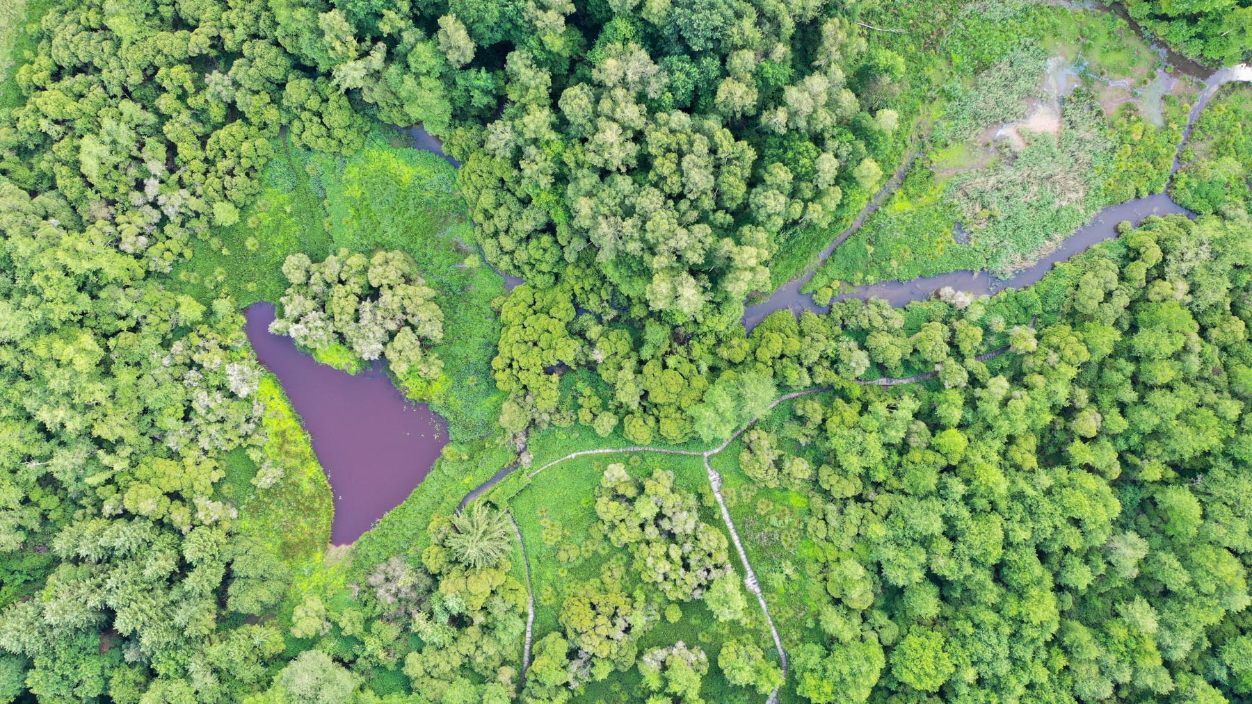 Marais-du-Brezou-En-Correze