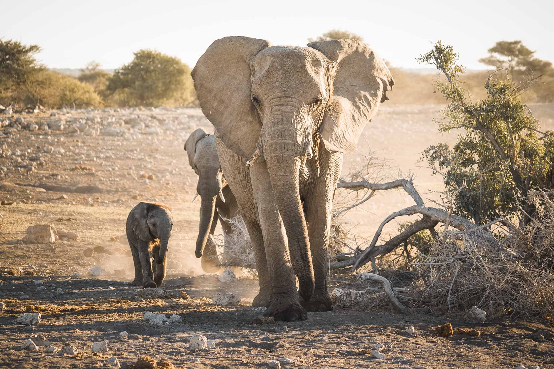 voyage-en-namibie