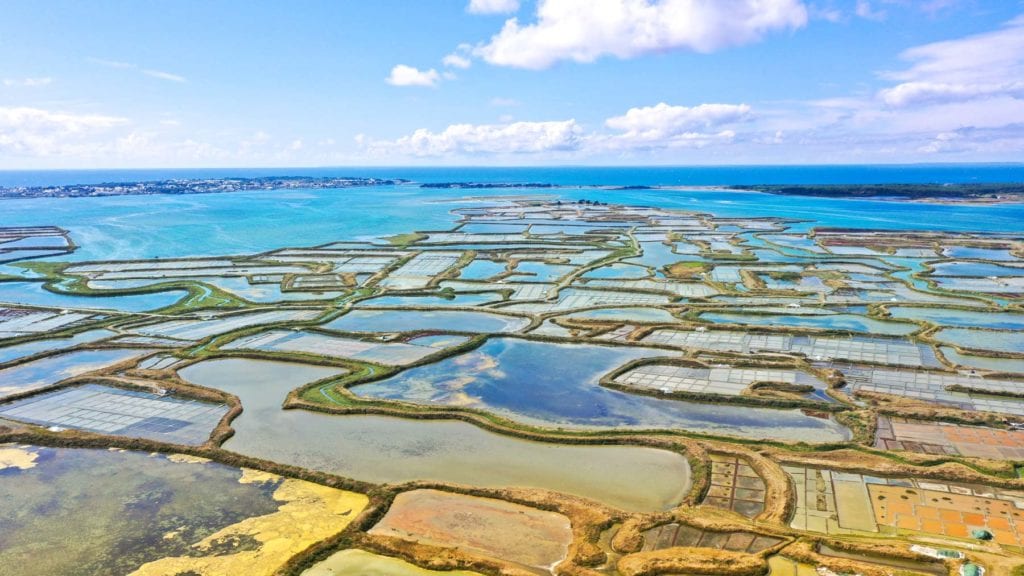 Visiter-les-Marais-salants-de-Guerande-avec-un-paludier