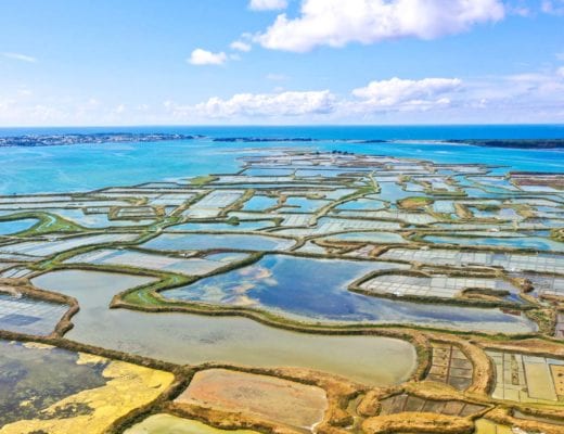 Visiter-les-Marais-salants-de-Guerande-avec-un-paludier