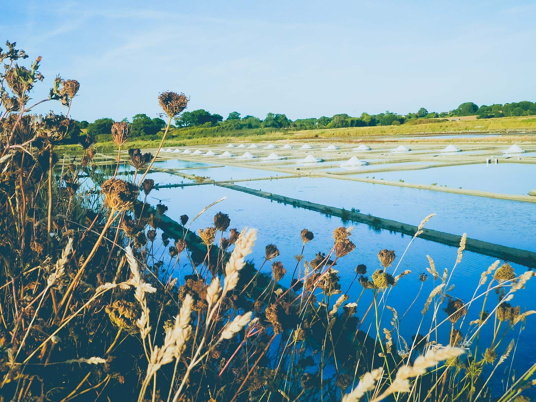 visiter-les-marais-salants-avec-un-paludier