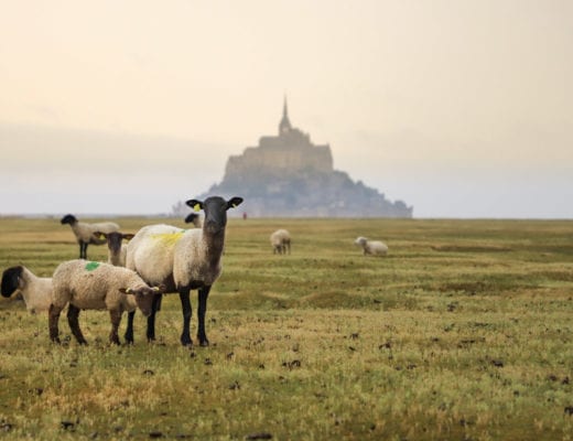 pres-sales-mont-saint-michel