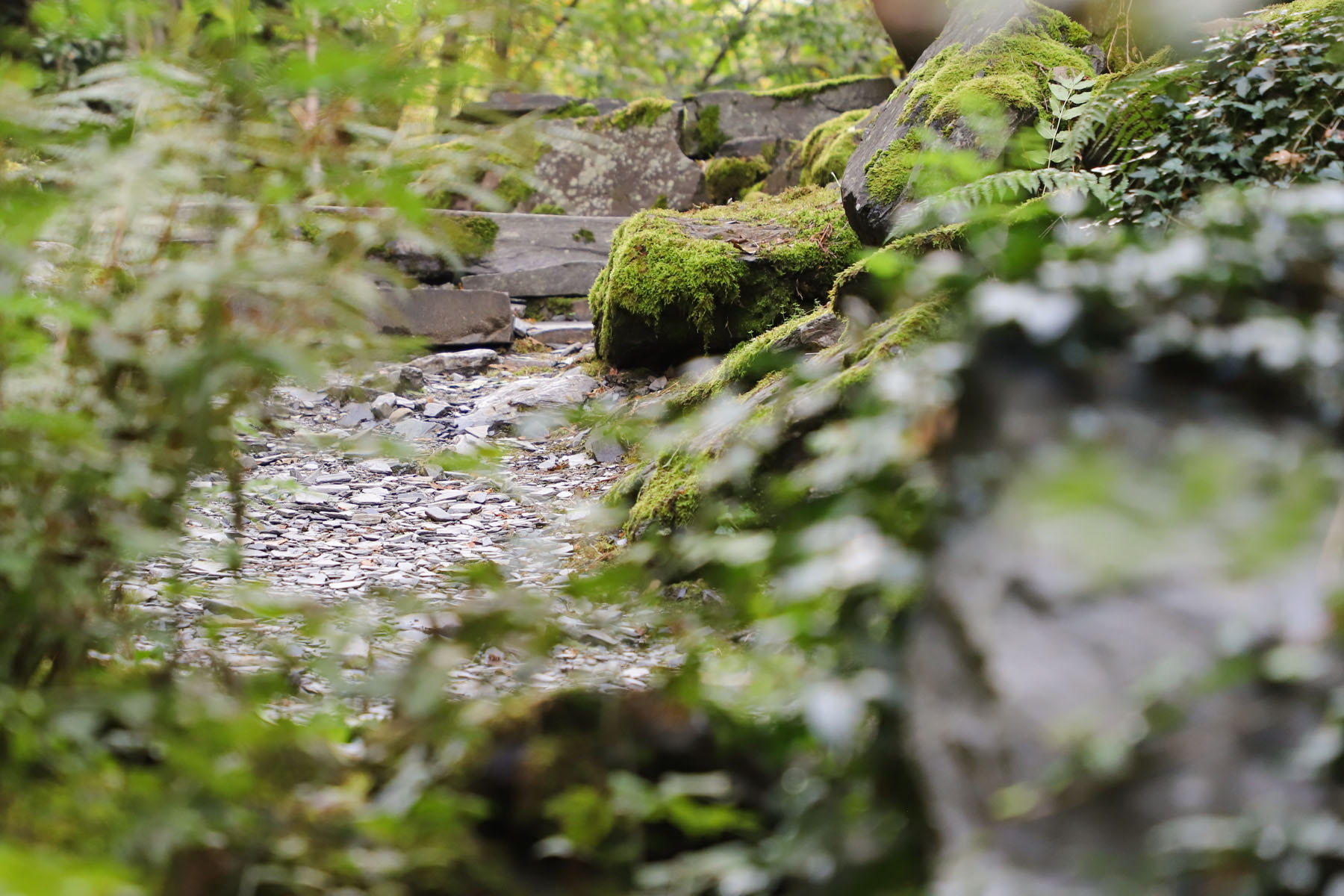 site-naturel-en-Correze-les-plus-beaux-endroits