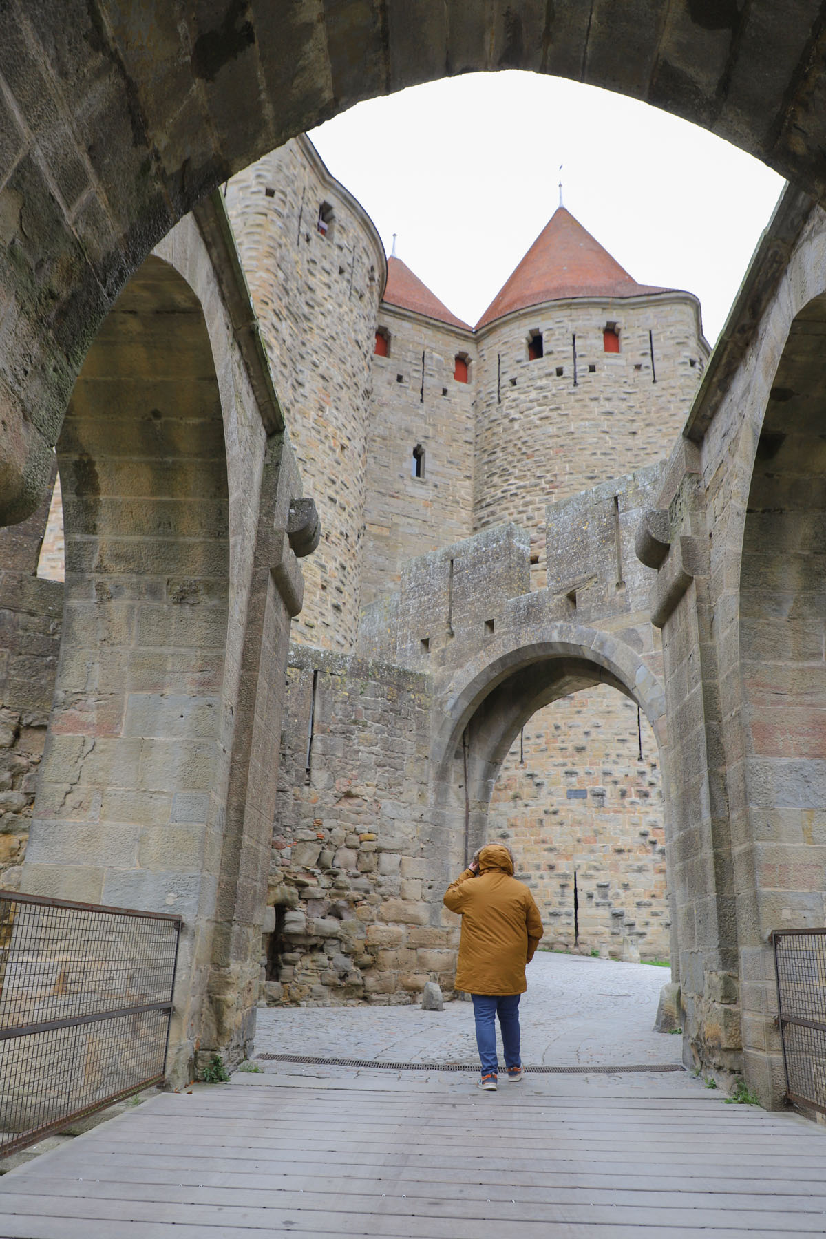 porte-narbonnaise-carcassonne