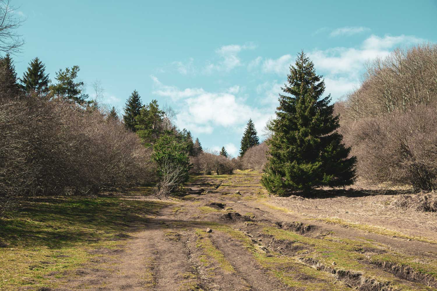 Le-Puy-Pariou-est-fragile