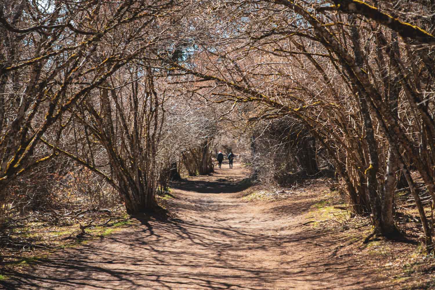 chemin-de-randonnee-du-puy-pariou