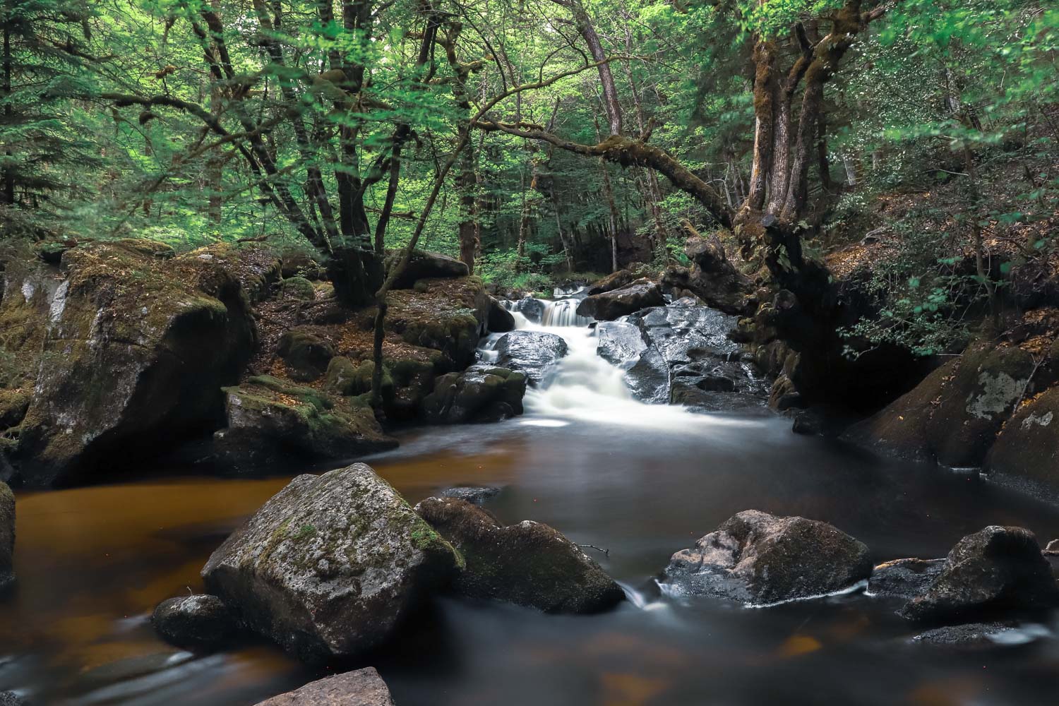 tourisme-haute-correze-nature