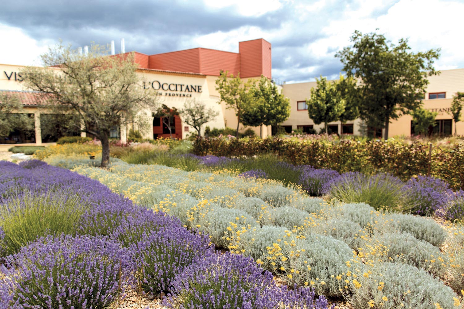 visiter-l-occitane-en-provence