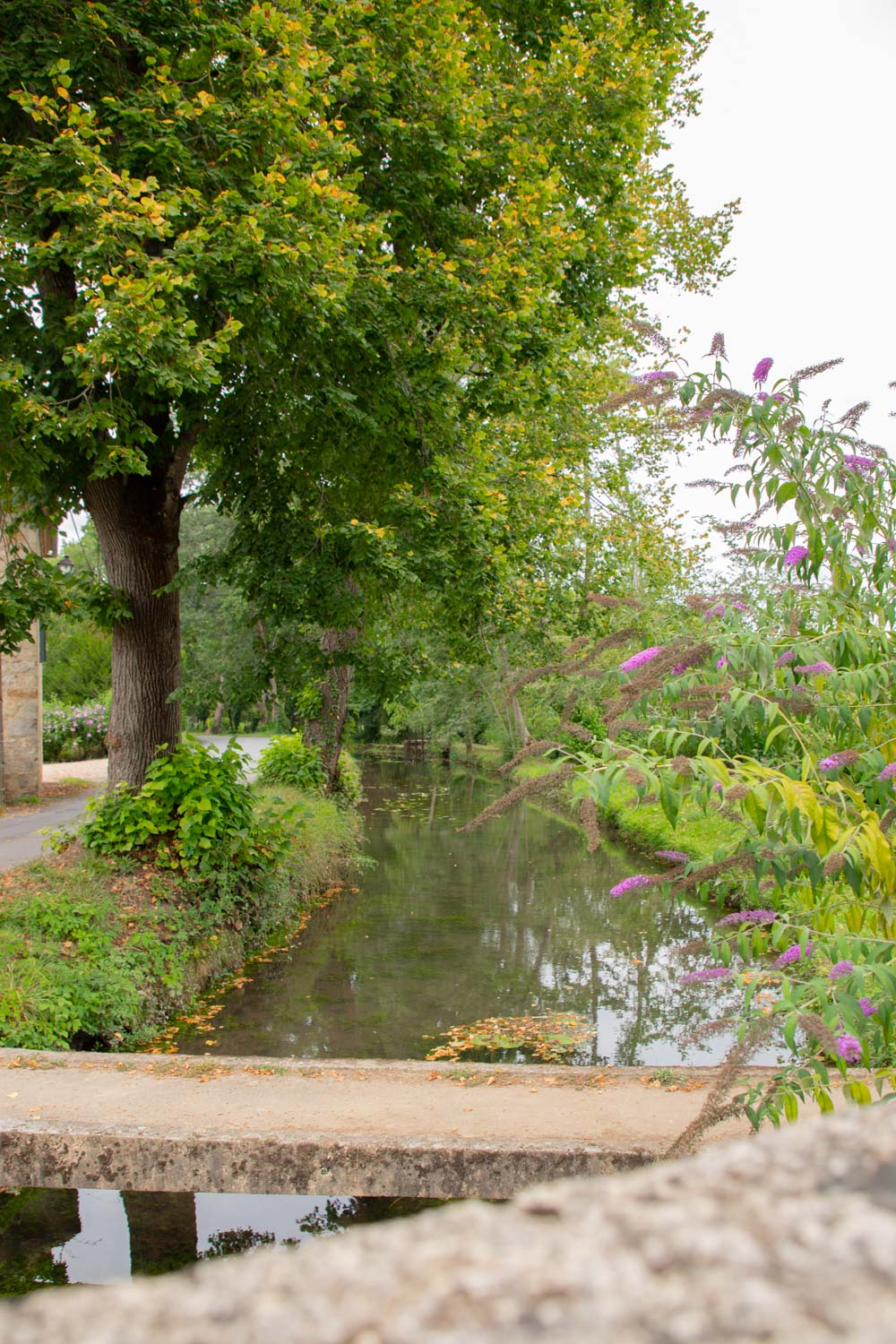 balade-le-long-de-la-cacrey-dans-le-lot