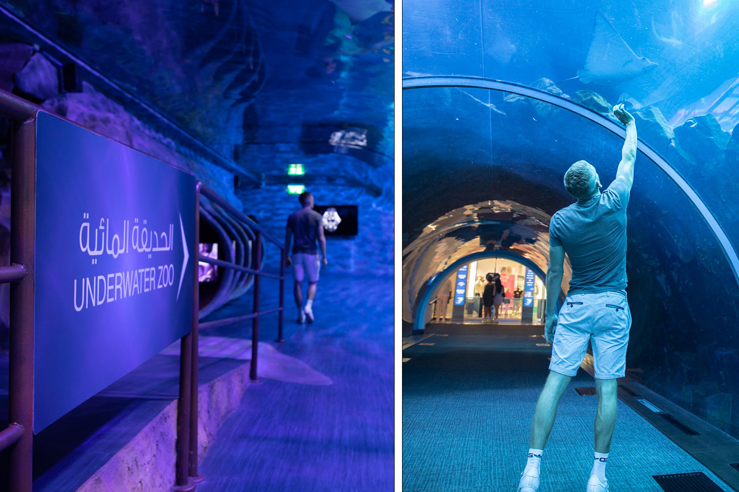 Dubai-Aquarium-and-Underwater-Zoo