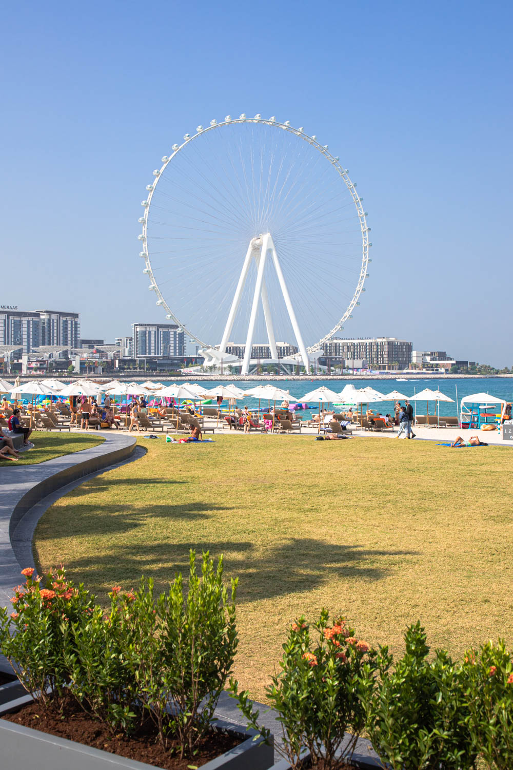 ain-dubai-grande-roue