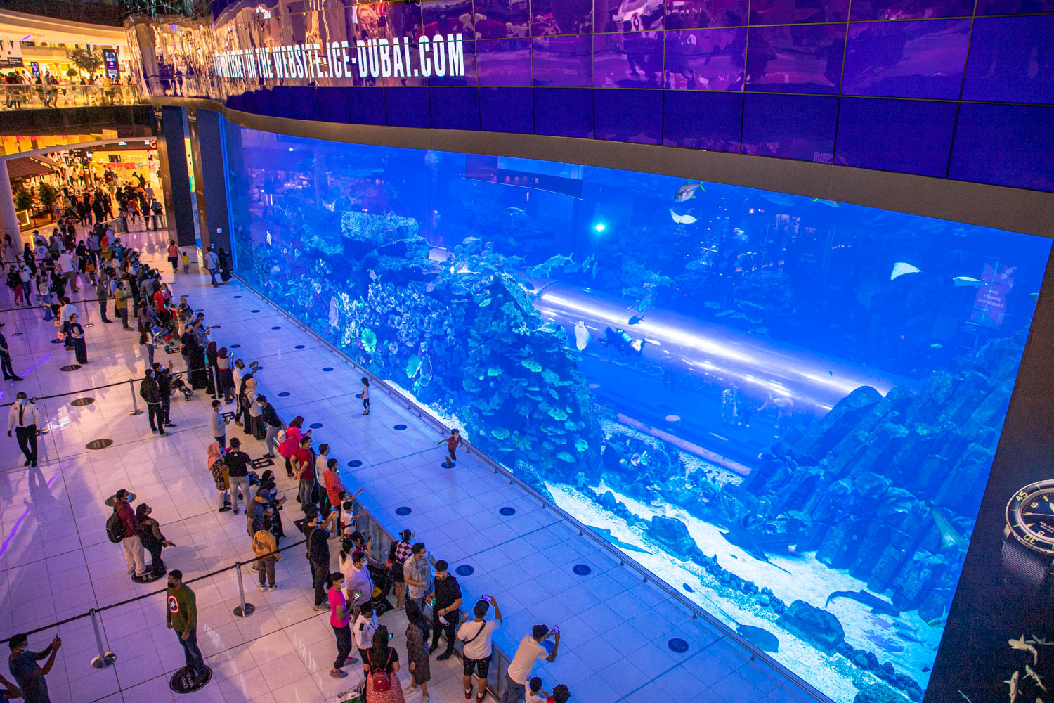 aquarium-dubai-mall