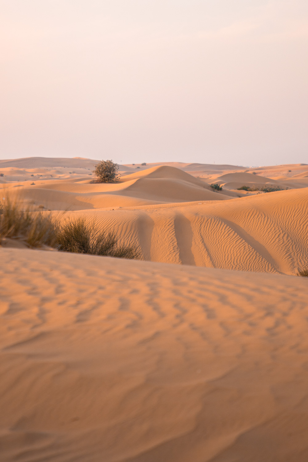 circuit-dans-le-desert-dubai