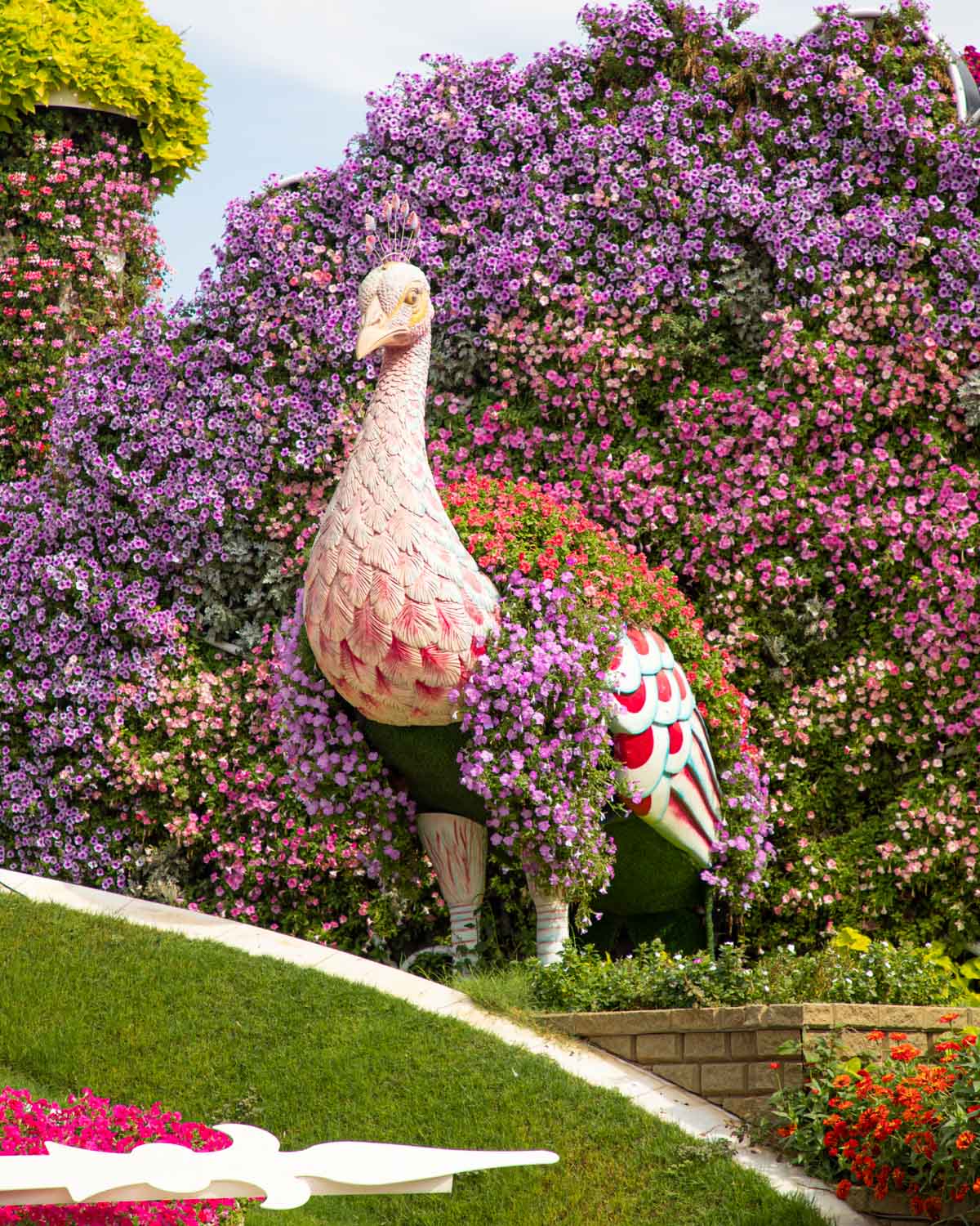 miracle-garden-dubai