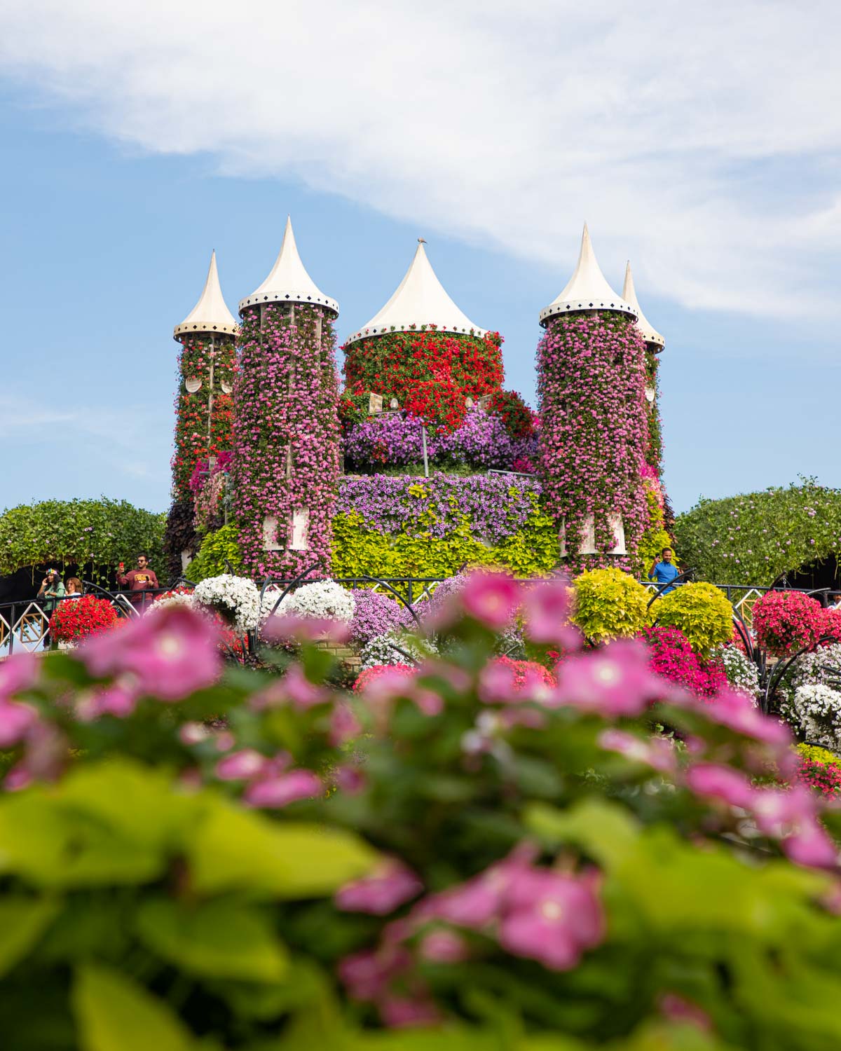 que-voir-a-miracle-garden-dubai