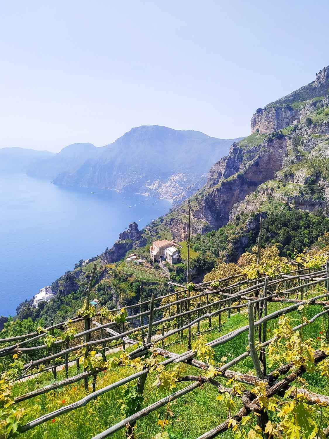 le-sentier-des-dieux-et-ses-vignes-cote-amalfitaine