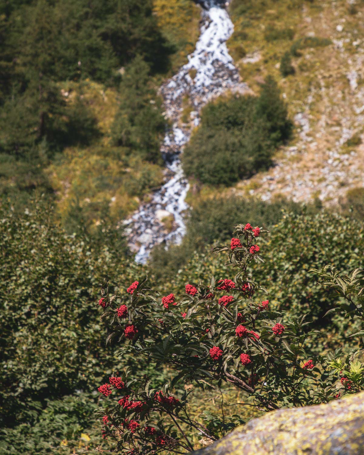 le-petit-tabuc-hautes-alpes