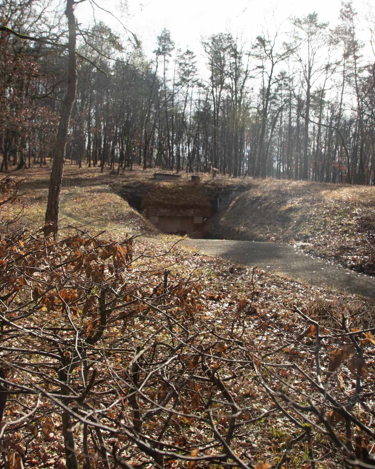 la-grotte-originale-de-lascaux