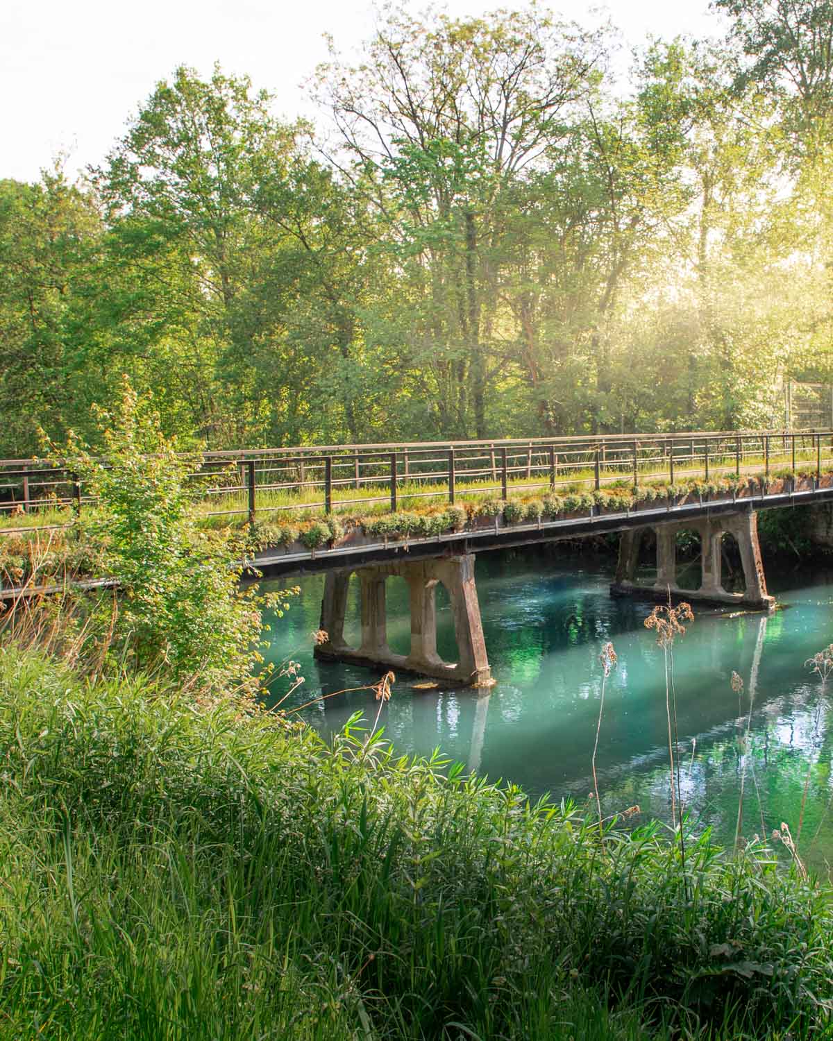 balade-dans-le-Ried-en-pleine-nature