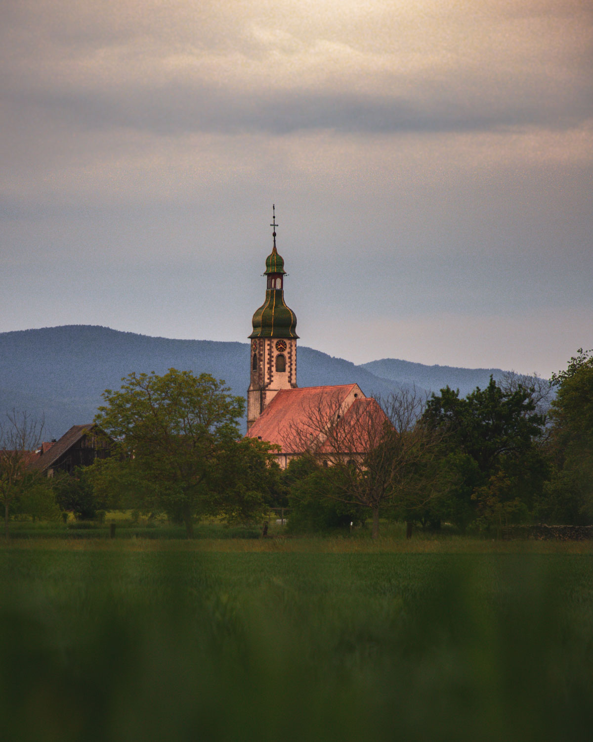 paysage-dans-le-grand-ried-en-alsace