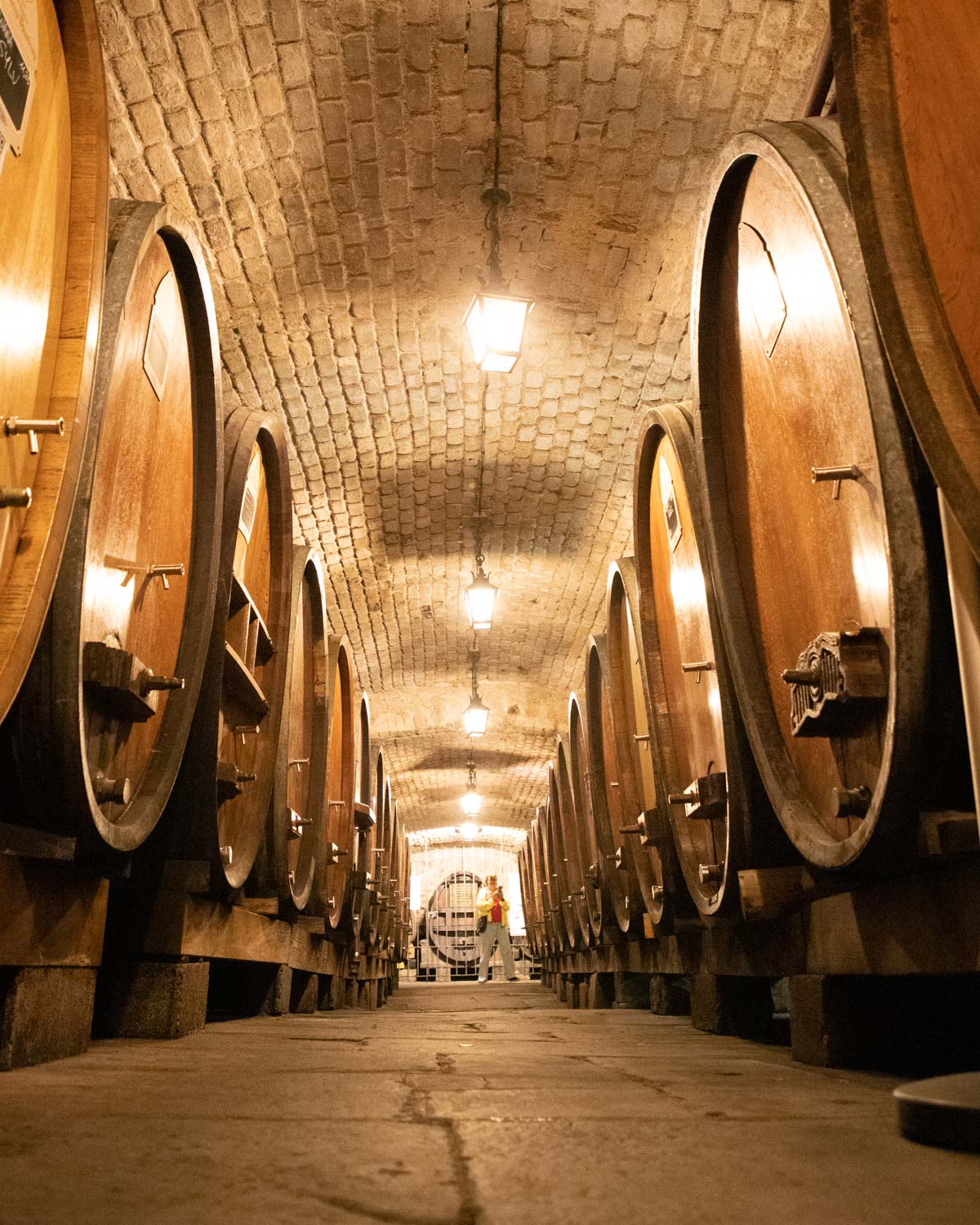 caves-historiques-des-Hospices-de-Strasbourg