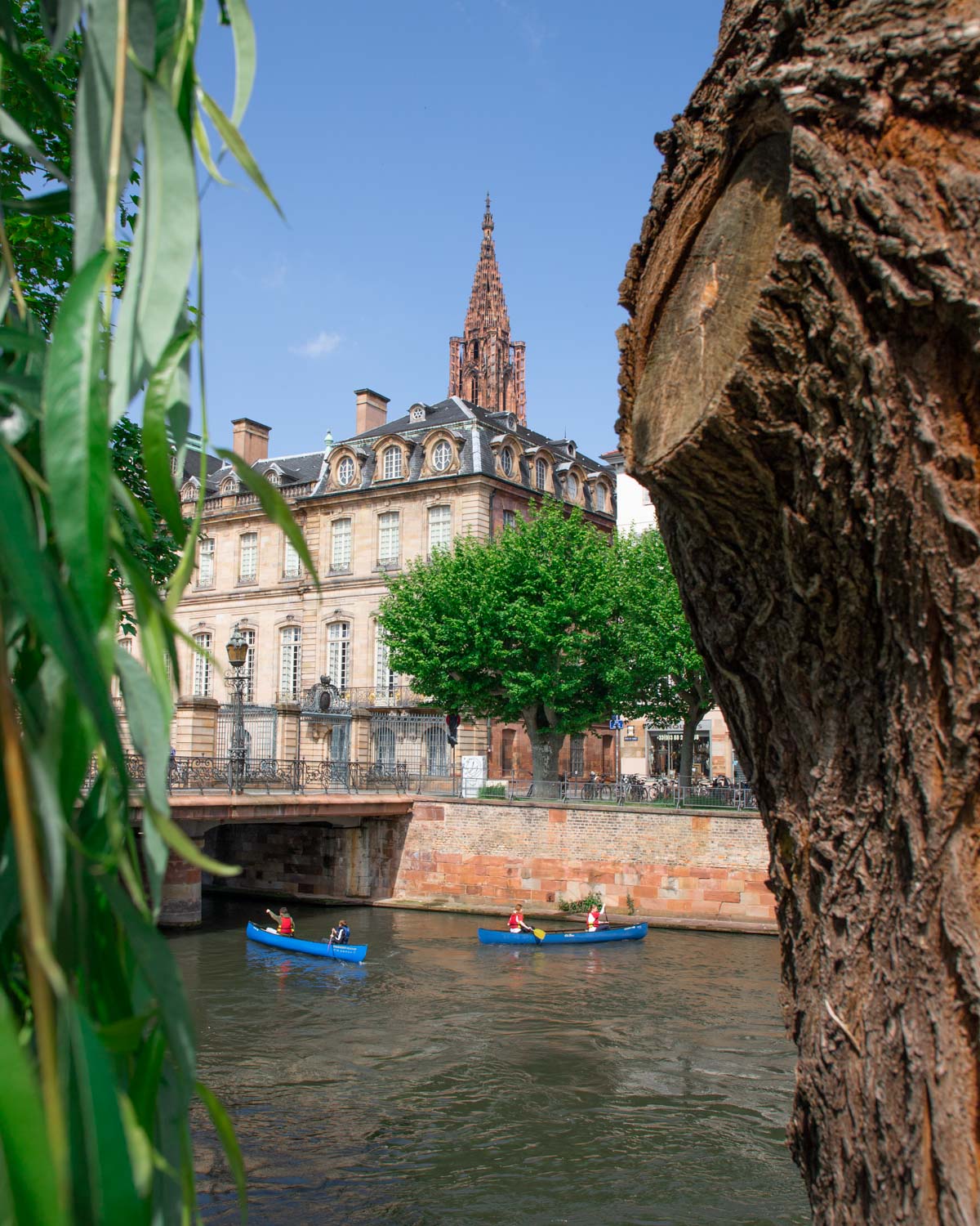 quai-des-bateliers-strasbourg