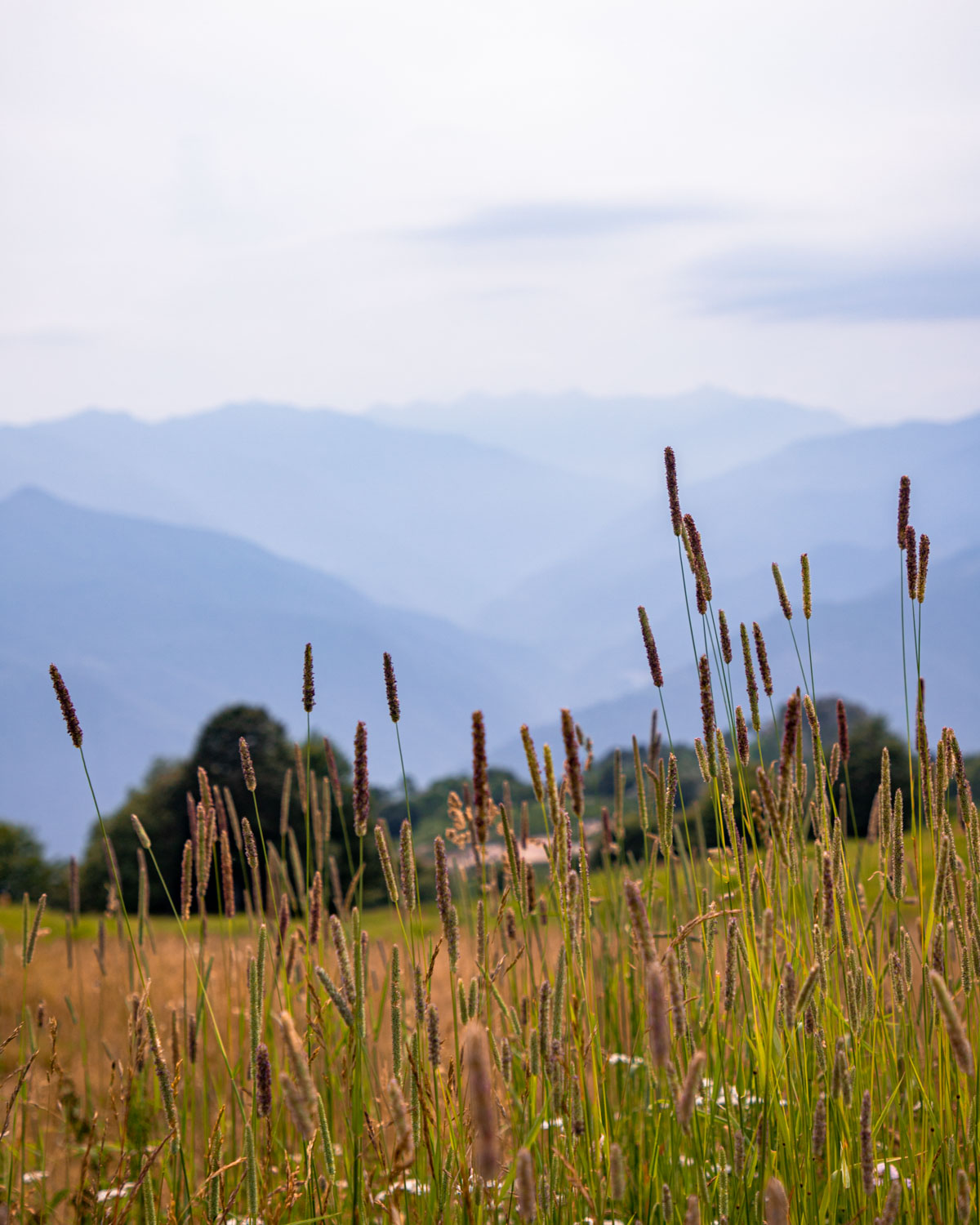 Admirer-les-lacs-italien-depuis-sommet-du-Mottarone