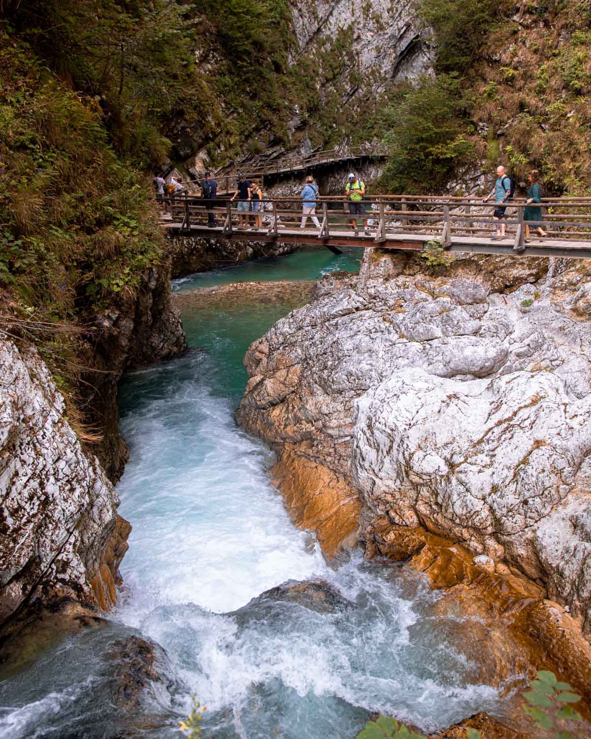 gorge-de-vintgar-slovenie-europe