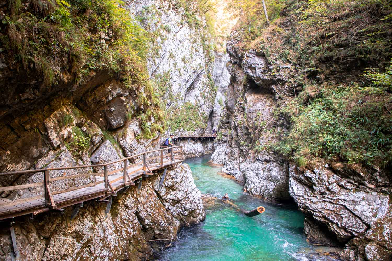 visiter-la-slovenie-et-les-gorges-de-vintgar