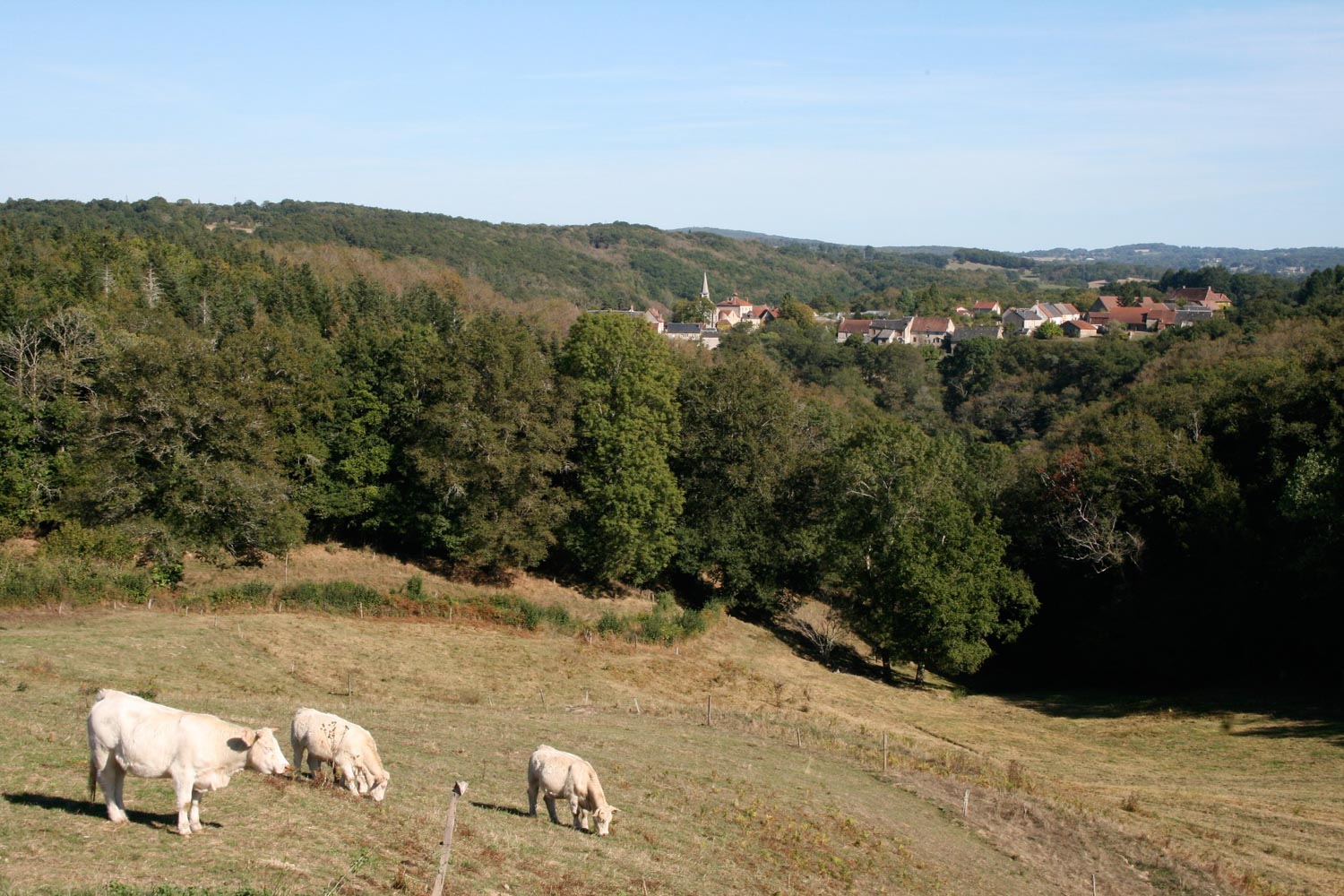 que-faire-dans-la-creuse