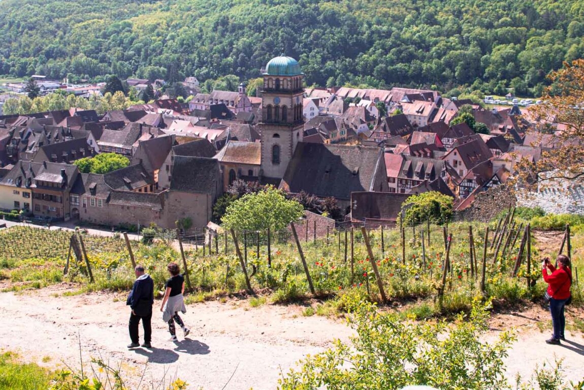 balade-autour-de-kaysersberg-alsace