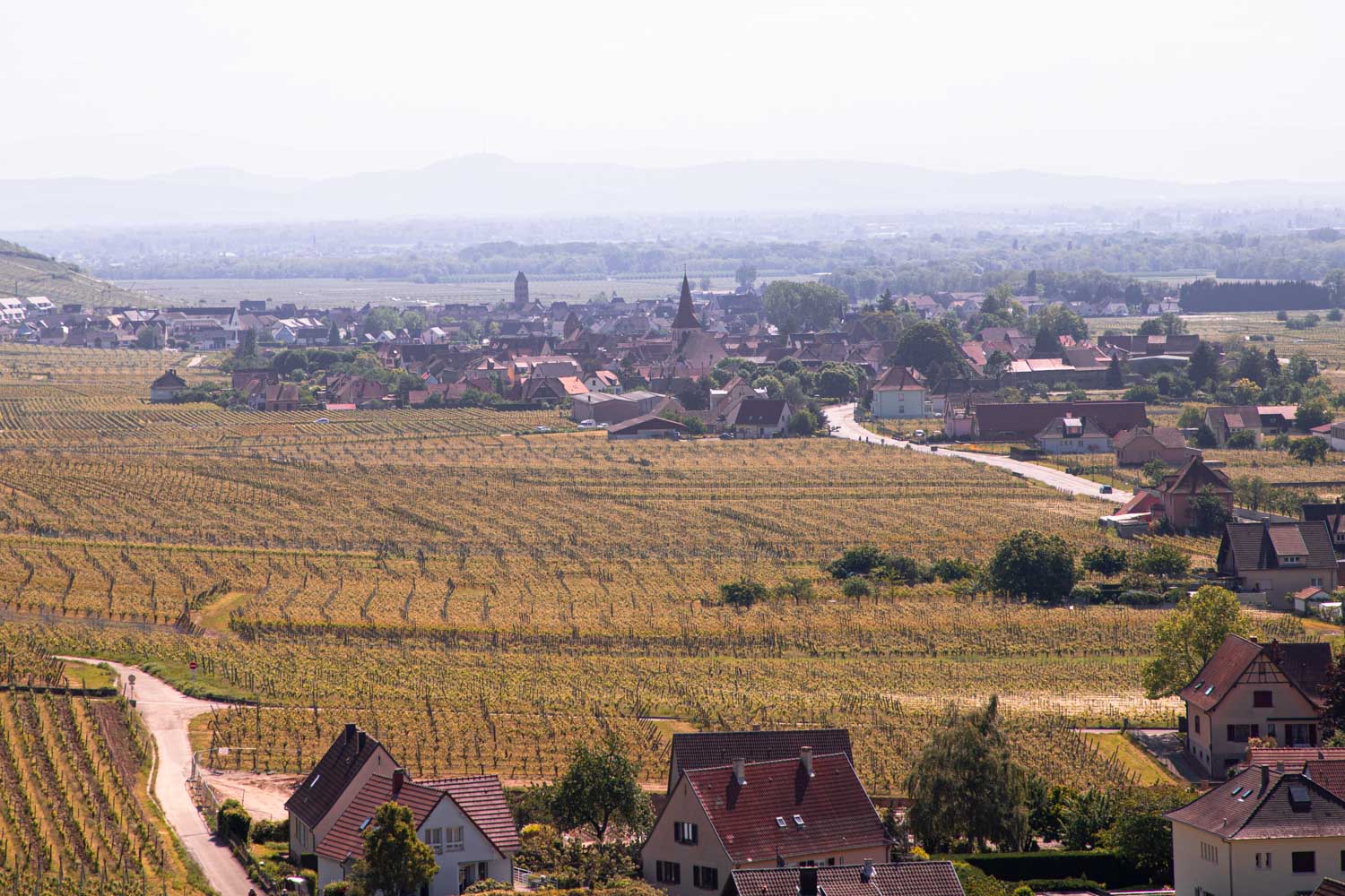 decouverte-des-vignobles-en-alsace