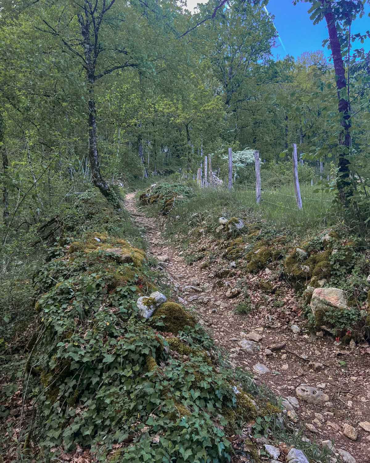 sentier-de-randonnee-en-correze