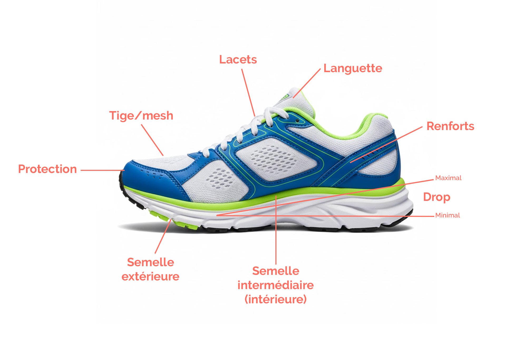 anatomie-chaussure-tige-mesh-drop-renfort-semelle