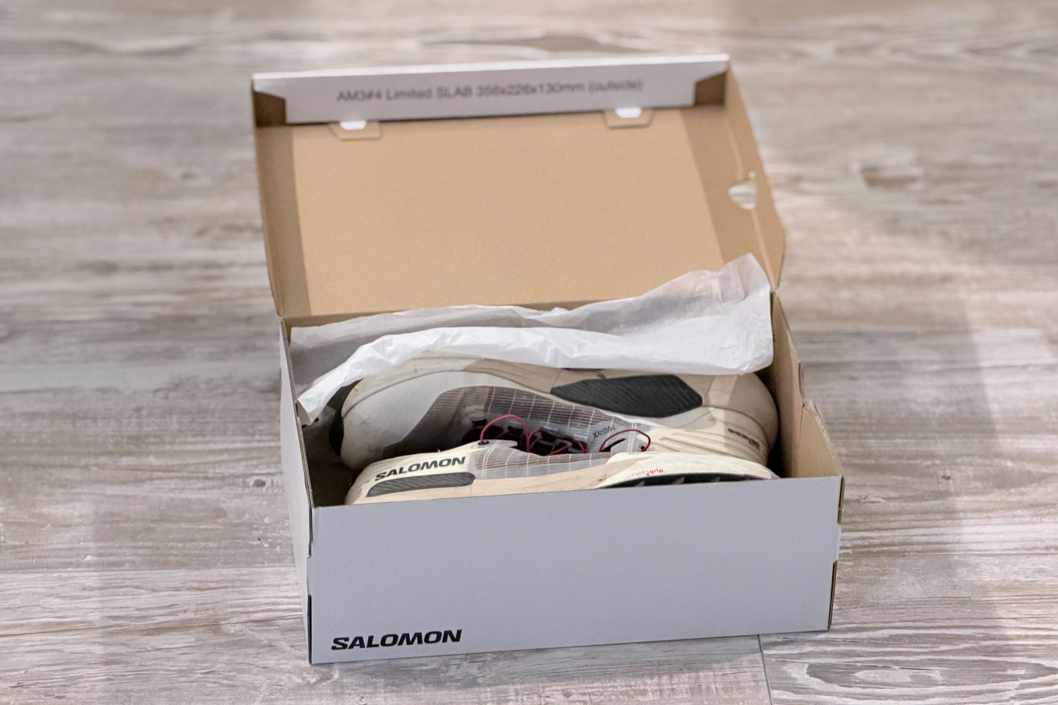 salomon-s-lab-genesis-test-avis