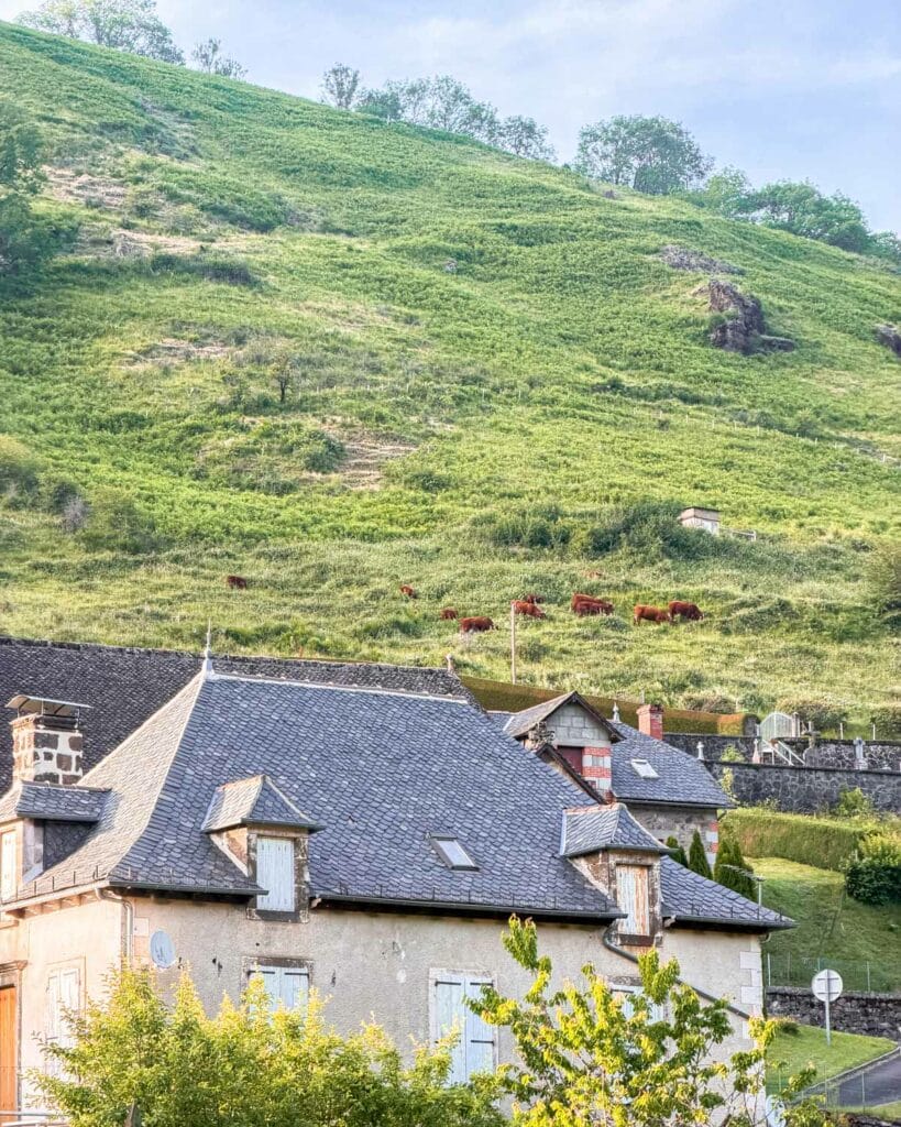 Ou-randonner-dans-le-Cantal